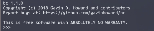 image-20240219173104259