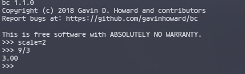 image-20240219175814072